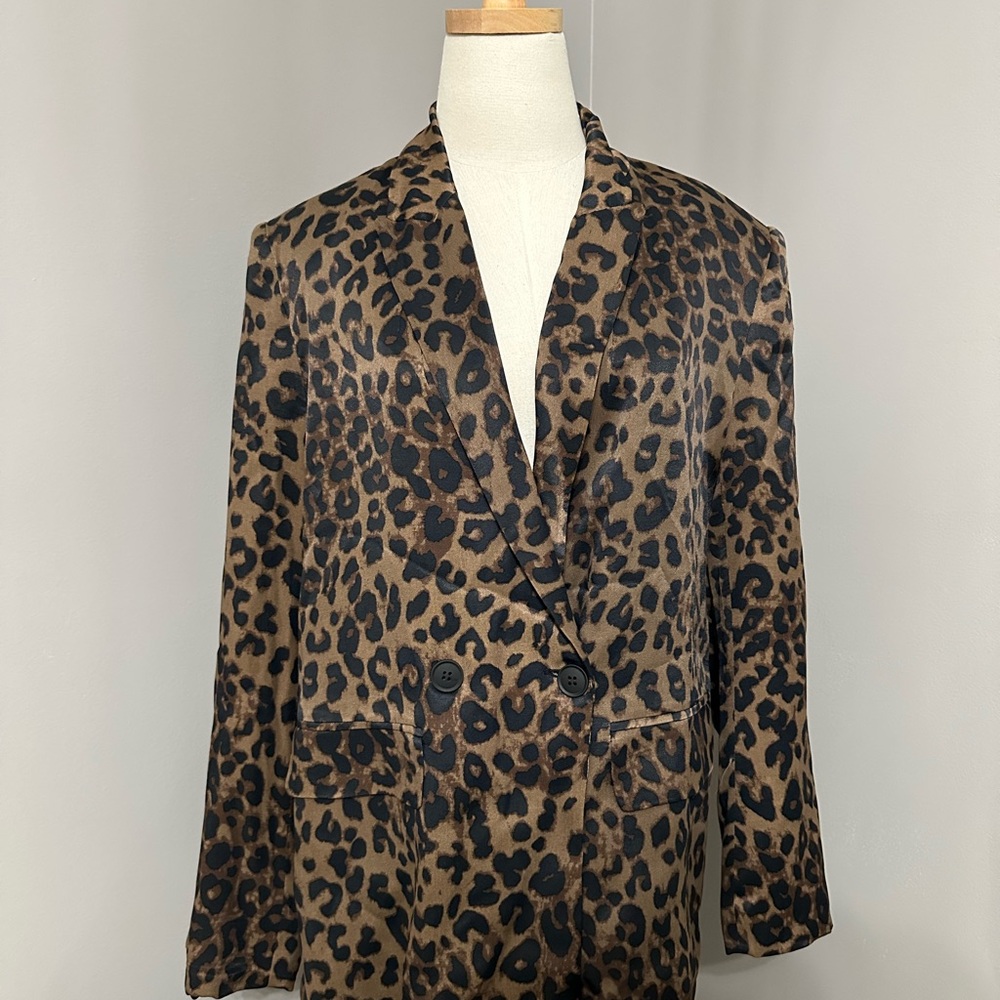 Zara Chic Leopard Print Blazer and Pants